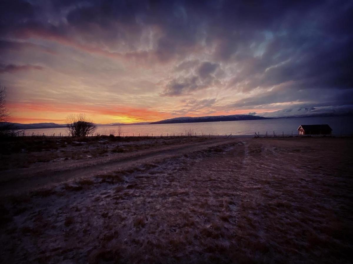 Unique And Charming Holiday Home With Fantastic Sea Views Tromsø Eksteriør billede