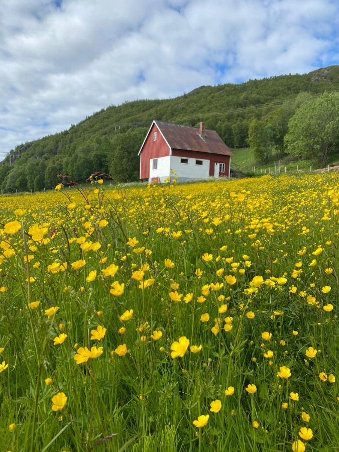 Unique And Charming Holiday Home With Fantastic Sea Views Tromsø Eksteriør billede