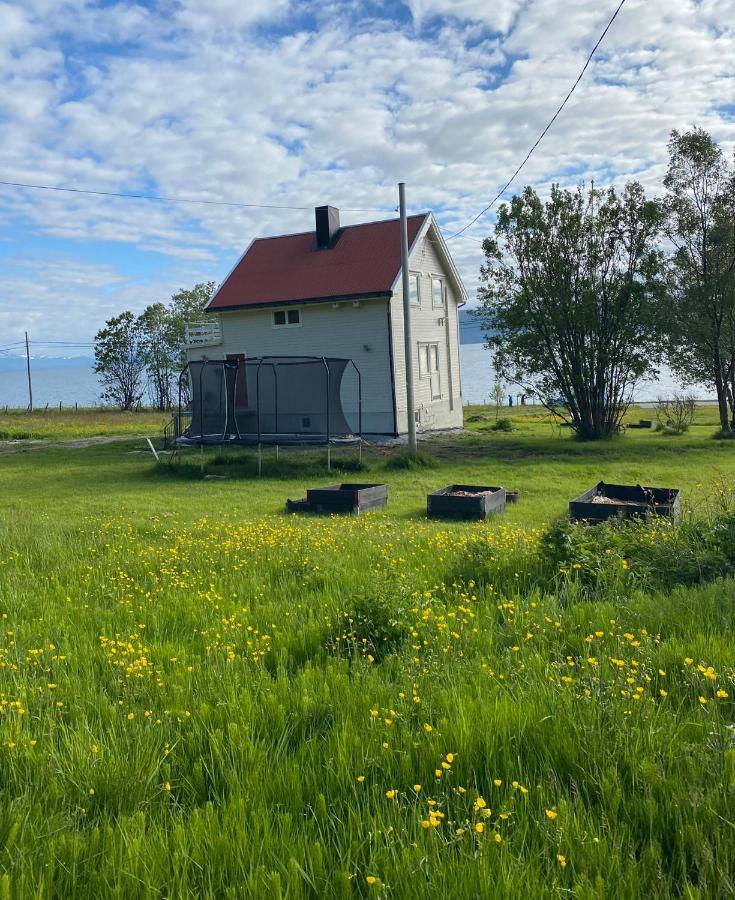 Unique And Charming Holiday Home With Fantastic Sea Views Tromsø Eksteriør billede