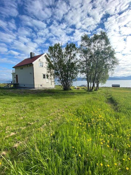 Unique And Charming Holiday Home With Fantastic Sea Views Tromsø Eksteriør billede