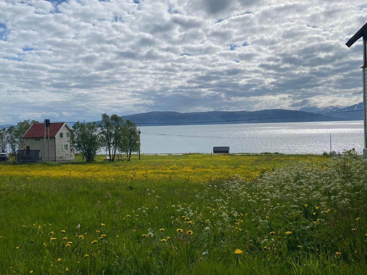 Unique And Charming Holiday Home With Fantastic Sea Views Tromsø Eksteriør billede