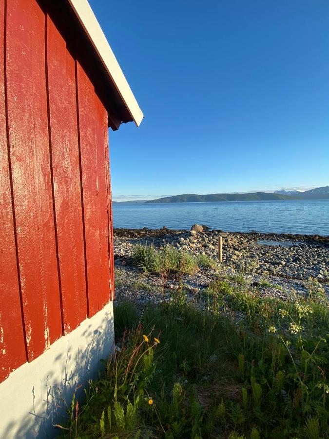 Unique And Charming Holiday Home With Fantastic Sea Views Tromsø Eksteriør billede