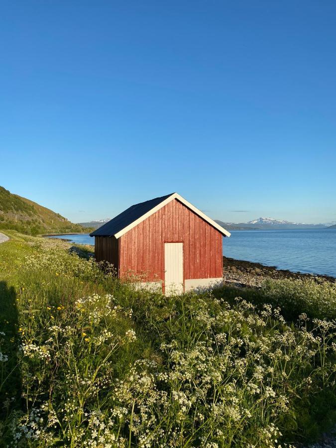 Unique And Charming Holiday Home With Fantastic Sea Views Tromsø Eksteriør billede