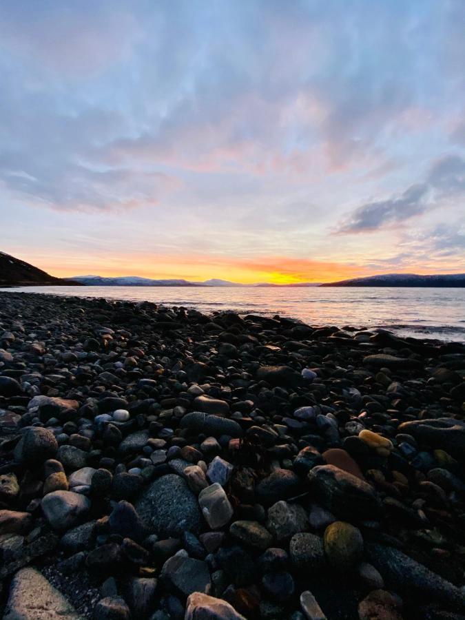 Unique And Charming Holiday Home With Fantastic Sea Views Tromsø Eksteriør billede