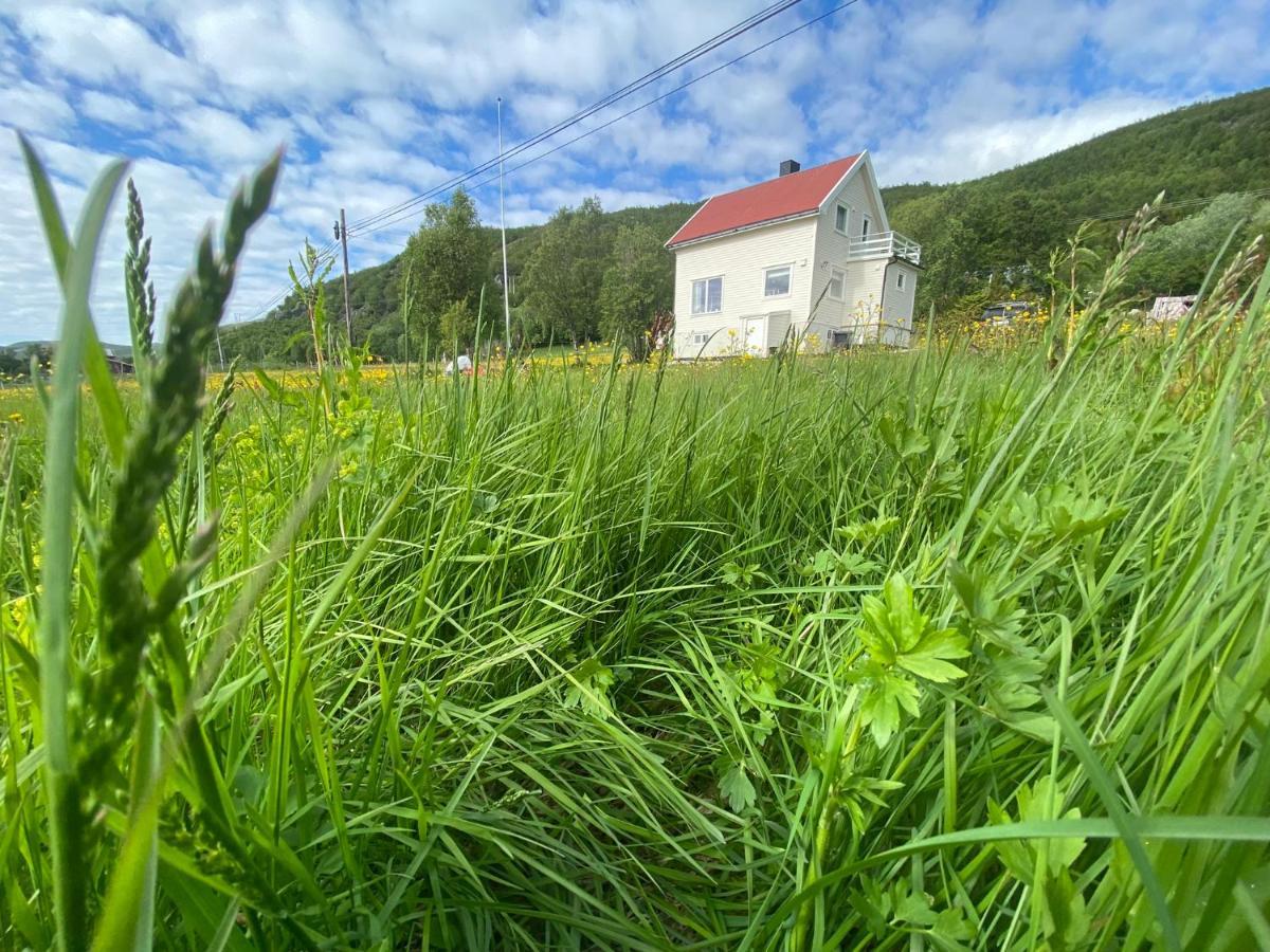 Unique And Charming Holiday Home With Fantastic Sea Views Tromsø Eksteriør billede