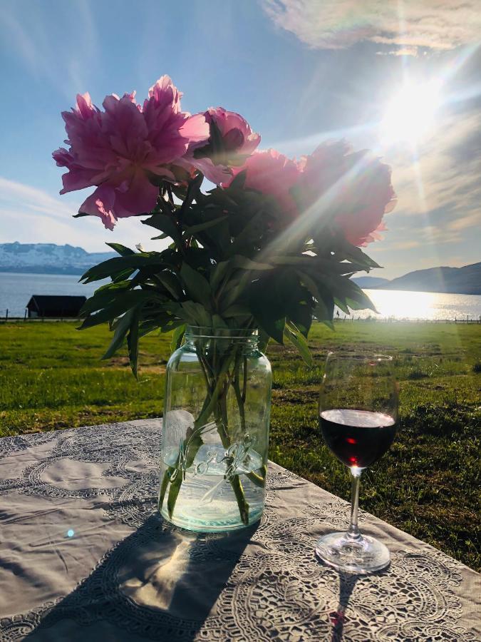 Unique And Charming Holiday Home With Fantastic Sea Views Tromsø Eksteriør billede