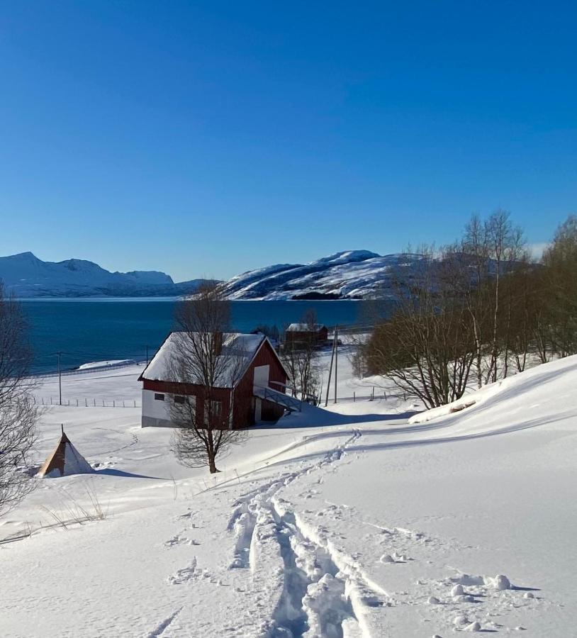 Unique And Charming Holiday Home With Fantastic Sea Views Tromsø Eksteriør billede